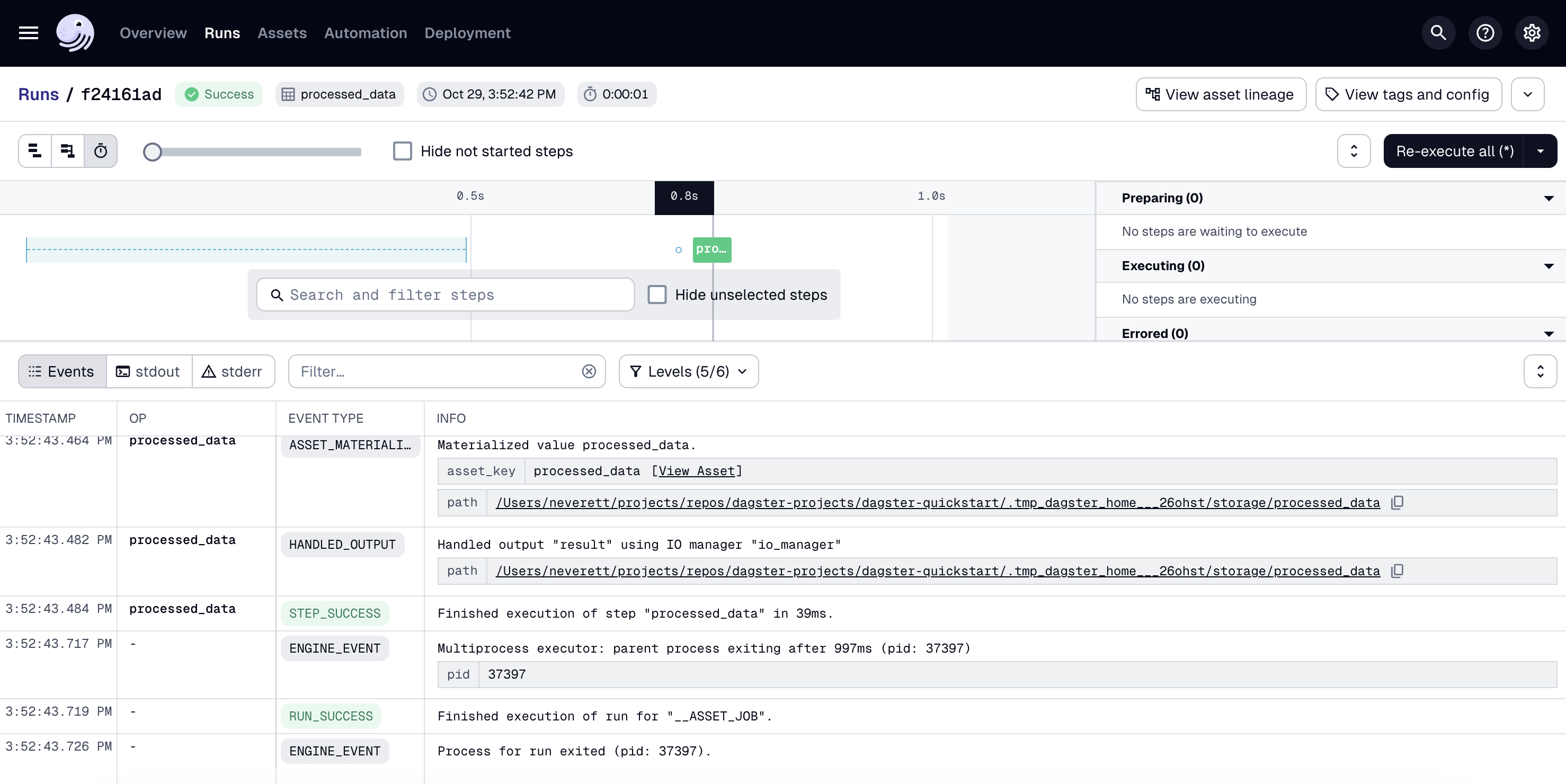 Dagster run view